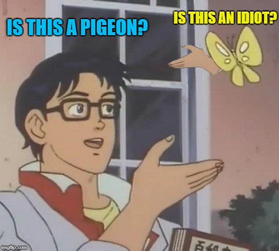 Is This A Pigeon |  IS THIS A PIGEON? IS THIS AN IDIOT? | image tagged in memes,is this a pigeon,funny meme,butterfly | made w/ Imgflip meme maker