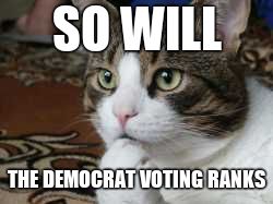 Ponder cat | SO WILL THE DEMOCRAT VOTING RANKS | image tagged in ponder cat | made w/ Imgflip meme maker