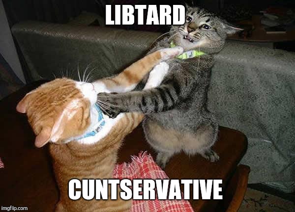 Two cats fighting for real | LIBTARD C**TSERVATIVE | image tagged in two cats fighting for real | made w/ Imgflip meme maker