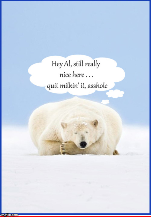 Happy polar bears | image tagged in polar bear,al gore,global warming hoax,lol so funny,politics lol,cute animals | made w/ Imgflip meme maker