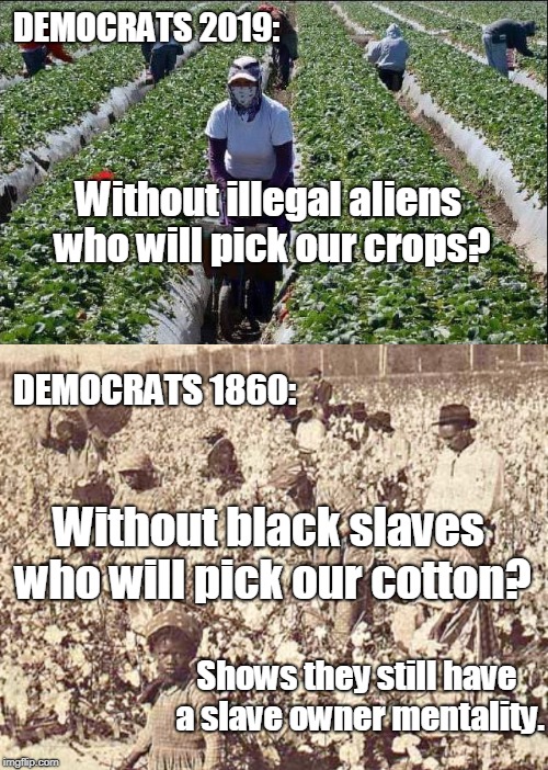 Well it does... | DEMOCRATS 2019:; Without illegal aliens who will pick our crops? DEMOCRATS 1860:; Without black slaves who will pick our cotton? Shows they still have a slave owner mentality. | image tagged in democrats,illegal aliens,slaves,slavery,memes | made w/ Imgflip meme maker