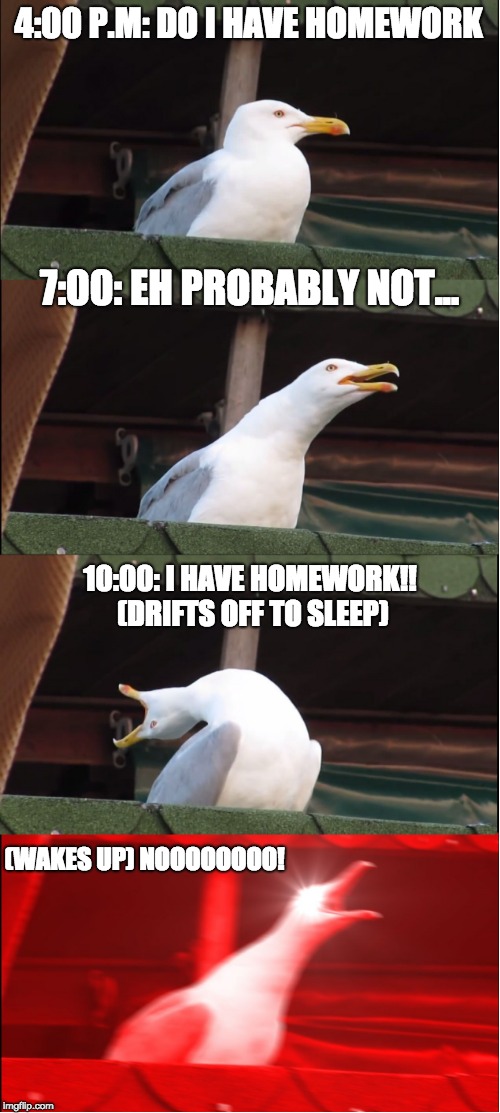 Homework... Nuf said | 4:00 P.M: DO I HAVE HOMEWORK; 7:00: EH PROBABLY NOT... 10:00: I HAVE HOMEWORK!! (DRIFTS OFF TO SLEEP); (WAKES UP) NOOOOOOOO! | image tagged in memes,inhaling seagull | made w/ Imgflip meme maker
