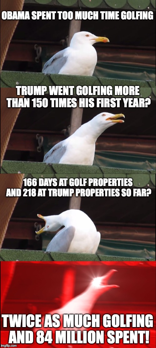 Inhaling Seagull Meme | OBAMA SPENT TOO MUCH TIME GOLFING; TRUMP WENT GOLFING MORE THAN 150 TIMES HIS FIRST YEAR? 166 DAYS AT GOLF PROPERTIES AND 218 AT TRUMP PROPERTIES SO FAR? TWICE AS MUCH GOLFING AND 84 MILLION SPENT! | image tagged in memes,inhaling seagull | made w/ Imgflip meme maker