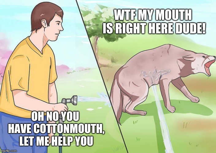 Water hose dog | OH NO YOU HAVE COTTONMOUTH, LET ME HELP YOU WTF MY MOUTH IS RIGHT HERE DUDE! | image tagged in water hose dog | made w/ Imgflip meme maker