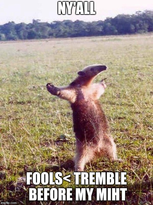Fight me anteater | NY'ALL; FOOLS< TREMBLE BEFORE MY MIHT | image tagged in fight me anteater | made w/ Imgflip meme maker