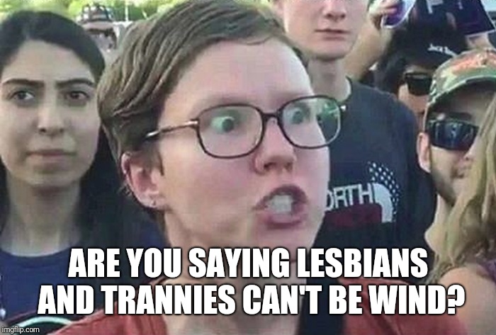 Triggered Liberal | ARE YOU SAYING LESBIANS AND TRANNIES CAN'T BE WIND? | image tagged in triggered liberal | made w/ Imgflip meme maker