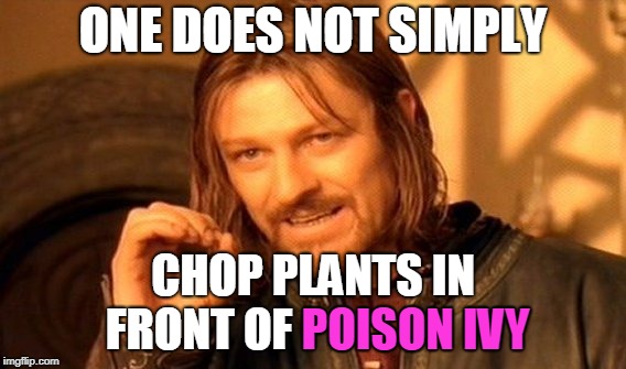 One Does Not Simply Meme | ONE DOES NOT SIMPLY CHOP PLANTS IN FRONT OF POISON IVY POISON IVY | image tagged in memes,one does not simply | made w/ Imgflip meme maker