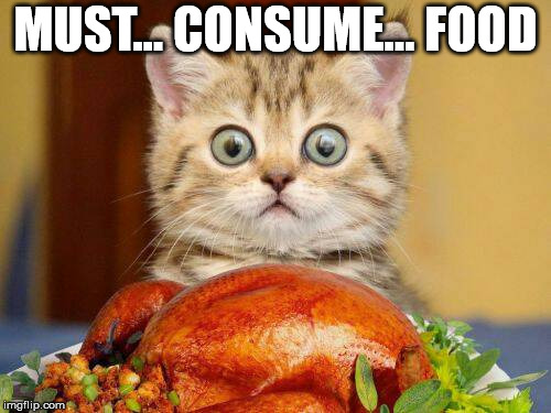 This is me when I get hungry. | MUST... CONSUME... FOOD | image tagged in hangry cat,i'm so hungry right now,hunger,cat | made w/ Imgflip meme maker
