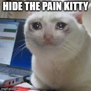 You've met hide the pain harold, now you'll meet... | HIDE THE PAIN KITTY | image tagged in crying cat,awh,sad face,hide the pain harold | made w/ Imgflip meme maker
