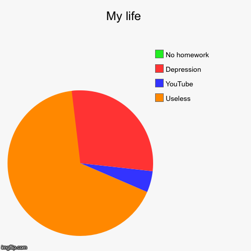 My life | Useless, YouTube , Depression , No homework | image tagged in funny,pie charts | made w/ Imgflip chart maker