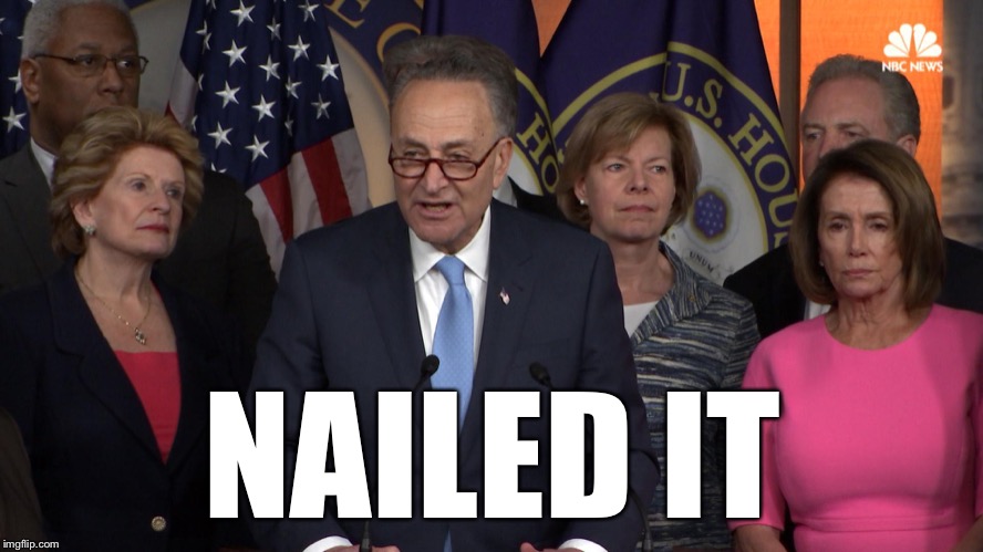 Democrat congressmen | NAILED IT | image tagged in democrat congressmen | made w/ Imgflip meme maker