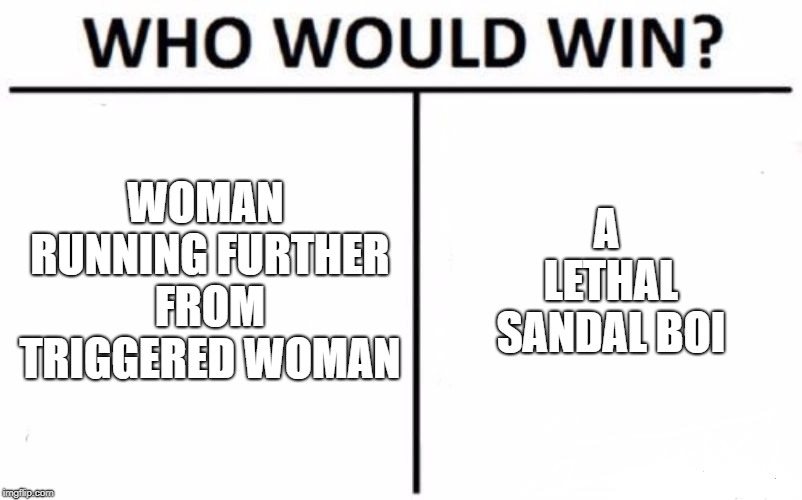 WOMAN RUNNING FURTHER FROM TRIGGERED WOMAN A LETHAL SANDAL BOI | image tagged in memes,who would win | made w/ Imgflip meme maker