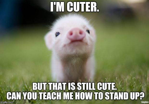 piglet | I'M CUTER. BUT THAT IS STILL CUTE. CAN YOU TEACH ME HOW TO STAND UP? | image tagged in piglet | made w/ Imgflip meme maker
