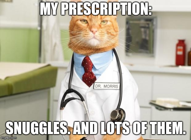 Cat Doctor | MY PRESCRIPTION: SNUGGLES. AND LOTS OF THEM. | image tagged in cat doctor | made w/ Imgflip meme maker