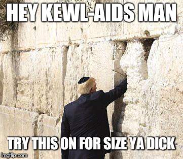 Donald Trump Wall  | HEY KEWL-AIDS MAN TRY THIS ON FOR SIZE YA DICK | image tagged in donald trump wall | made w/ Imgflip meme maker