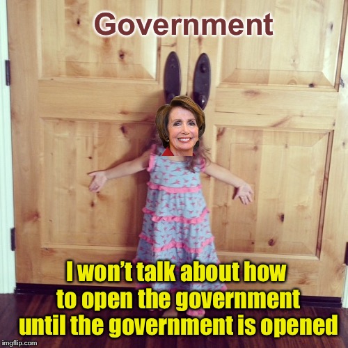 Makes as much sense as passing the bill so we can find out what’s in it | Government; I won’t talk about how to open the government until the government is opened | image tagged in memes,nancy pelosi,government shutdown | made w/ Imgflip meme maker