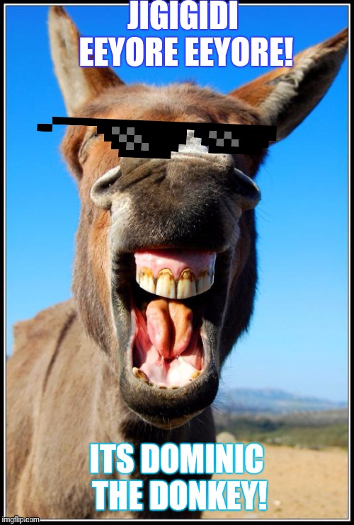 Happy Donkey | JIGIGIDI EEYORE EEYORE! ITS DOMINIC THE DONKEY! | image tagged in happy donkey | made w/ Imgflip meme maker