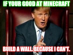 Donald Trump | IF YOUR GOOD AT MINECRAFT; BUILD A WALL. BECAUSE I CAN'T. | image tagged in donald trump | made w/ Imgflip meme maker