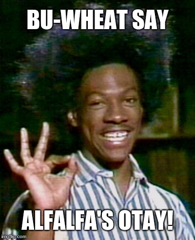 buckwheat otay | BU-WHEAT SAY ALFALFA'S OTAY! | image tagged in buckwheat otay | made w/ Imgflip meme maker