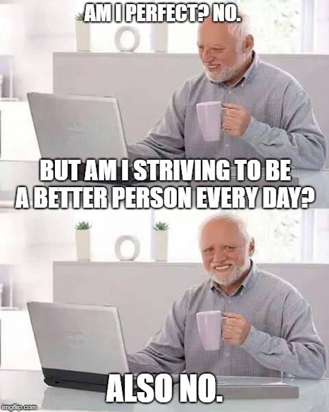 A little bit every day | AM I PERFECT? NO. BUT AM I STRIVING TO BE A BETTER PERSON EVERY DAY? ALSO NO. | image tagged in memes,hide the pain harold | made w/ Imgflip meme maker