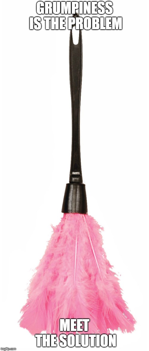 pink feather duster | GRUMPINESS IS THE PROBLEM; MEET THE SOLUTION | image tagged in pink feather duster | made w/ Imgflip meme maker