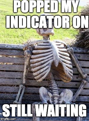 Waiting Skeleton Meme | POPPED MY INDICATOR ON; STILL WAITING | image tagged in memes,waiting skeleton | made w/ Imgflip meme maker