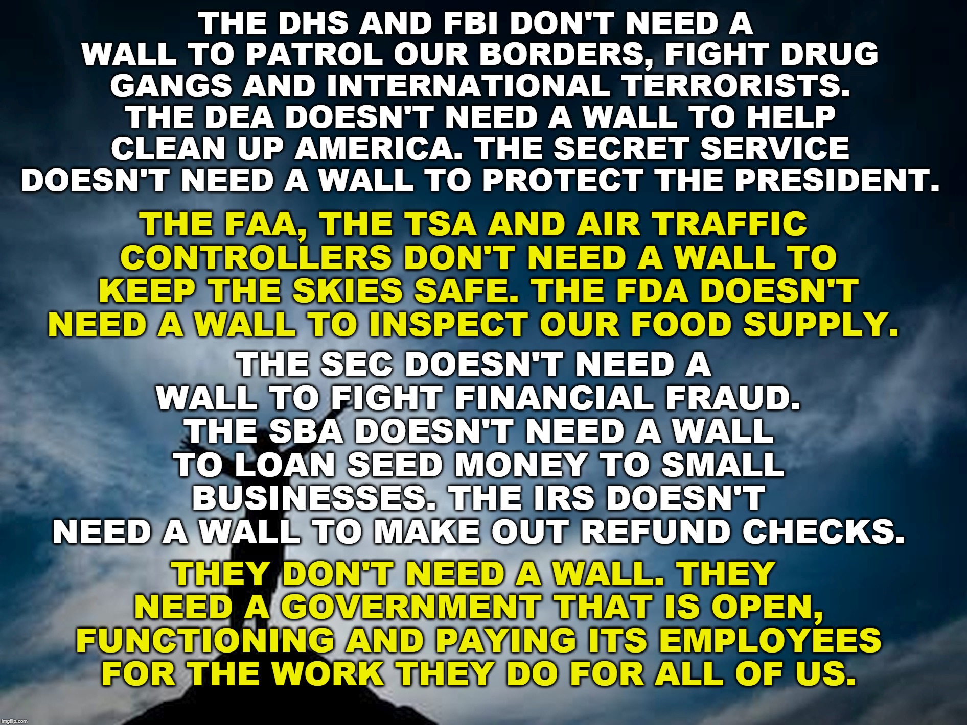 THE DHS AND FBI DON'T NEED A WALL TO PATROL OUR BORDERS, FIGHT DRUG GANGS AND INTERNATIONAL TERRORISTS. THE DEA DOESN'T NEED A WALL TO HELP CLEAN UP AMERICA. THE SECRET SERVICE DOESN'T NEED A WALL TO PROTECT THE PRESIDENT. THE FAA, THE TSA AND AIR TRAFFIC CONTROLLERS DON'T NEED A WALL TO KEEP THE SKIES SAFE. THE FDA DOESN'T NEED A WALL TO INSPECT OUR FOOD SUPPLY. THE SEC DOESN'T NEED A WALL TO FIGHT FINANCIAL FRAUD. THE SBA DOESN'T NEED A WALL TO LOAN SEED MONEY TO SMALL BUSINESSES. THE IRS DOESN'T NEED A WALL TO MAKE OUT REFUND CHECKS. THEY DON'T NEED A WALL. THEY NEED A GOVERNMENT THAT IS OPEN, FUNCTIONING AND PAYING ITS EMPLOYEES FOR THE WORK THEY DO FOR ALL OF US. | image tagged in fbi,dhs,dea,secret service,fda,wall | made w/ Imgflip meme maker