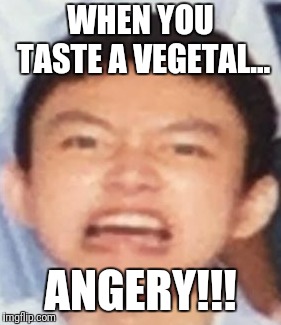 WHEN YOU TASTE A VEGETAL... ANGERY!!! | image tagged in angery | made w/ Imgflip meme maker