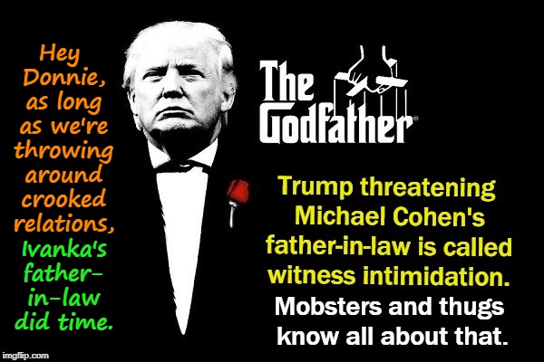 Hey Donnie, as long as we're throwing around crooked relations, Ivanka's father- in-law did time. | image tagged in trump,mafia,intimidation,michael cohen | made w/ Imgflip meme maker