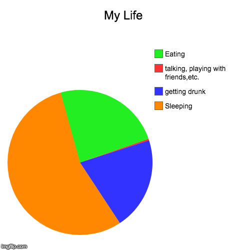 My Life | Sleeping, getting drunk, talking, playing with friends,etc., Eating | image tagged in funny,pie charts | made w/ Imgflip chart maker