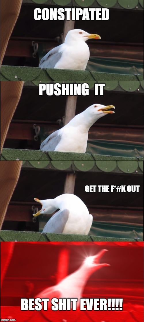 Inhaling Seagull | CONSTIPATED; PUSHING  IT; GET THE F*#K OUT; BEST SHIT EVER!!!! | image tagged in memes,inhaling seagull | made w/ Imgflip meme maker