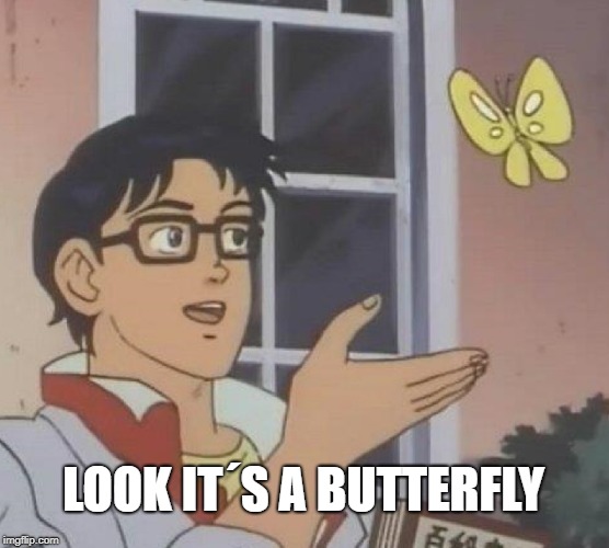 Is This A Pigeon | LOOK IT´S A BUTTERFLY | image tagged in memes,is this a pigeon | made w/ Imgflip meme maker