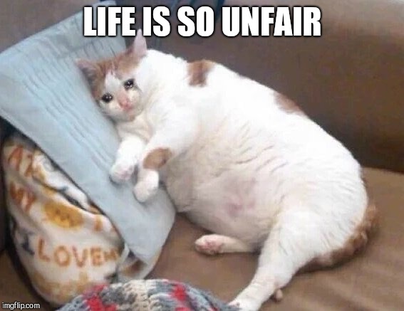 Fat Cat Crying | LIFE IS SO UNFAIR | image tagged in fat cat crying | made w/ Imgflip meme maker