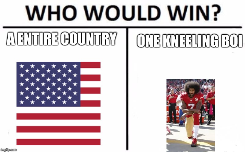 nfl in a nutshell | A ENTIRE COUNTRY; ONE KNEELING BOI | image tagged in memes,who would win | made w/ Imgflip meme maker