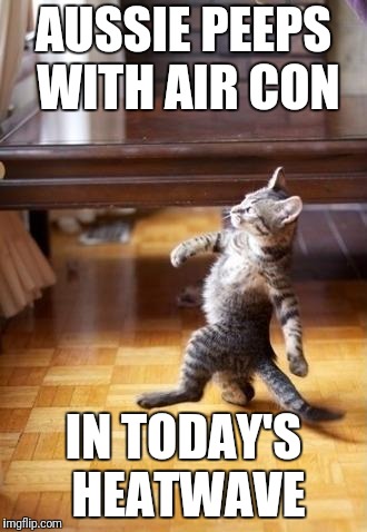 Cool Catz | AUSSIE PEEPS WITH AIR CON; IN TODAY'S HEATWAVE | image tagged in memes,cool cat stroll,meanwhile in australia,heatwave,air conditioner | made w/ Imgflip meme maker