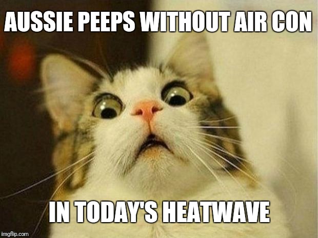 Hell Catz | AUSSIE PEEPS WITHOUT AIR CON; IN TODAY'S HEATWAVE | image tagged in memes,scared cat,meanwhile in australia,heatwave,air conditioner | made w/ Imgflip meme maker