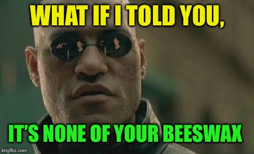 Matrix Morpheus Meme | WHAT IF I TOLD YOU, IT’S NONE OF YOUR BEESWAX | image tagged in memes,matrix morpheus | made w/ Imgflip meme maker