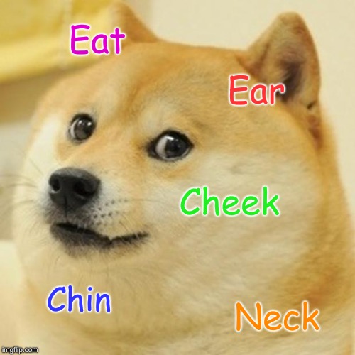 Doge Meme | Eat; Ear; Cheek; Chin; Neck | image tagged in memes,doge | made w/ Imgflip meme maker
