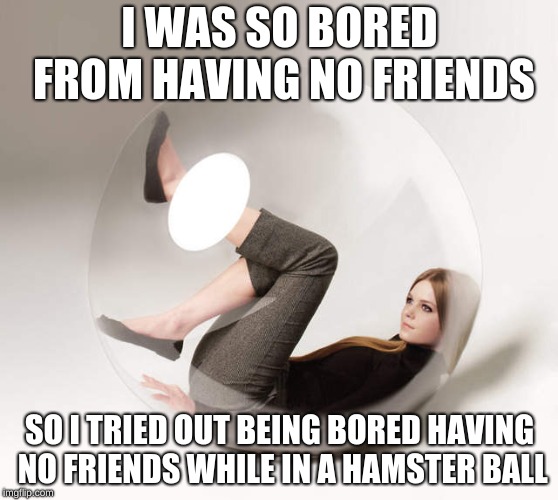 introvert bubble | I WAS SO BORED FROM HAVING NO FRIENDS; SO I TRIED OUT BEING BORED HAVING NO FRIENDS WHILE IN A HAMSTER BALL | image tagged in introvert bubble | made w/ Imgflip meme maker