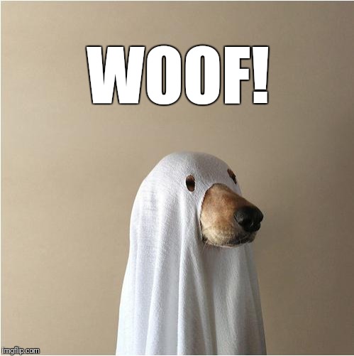 Ghost Doge | WOOF! | image tagged in ghost doge | made w/ Imgflip meme maker
