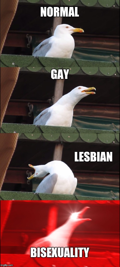 Inhaling Seagull |  NORMAL; GAY; LESBIAN; BISEXUALITY | image tagged in memes,inhaling seagull | made w/ Imgflip meme maker
