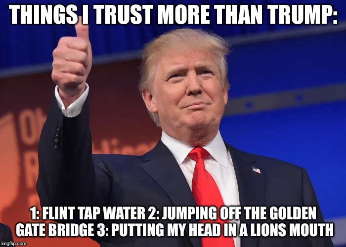 donald trump | THINGS I TRUST MORE THAN TRUMP:; 1: FLINT TAP WATER
2: JUMPING OFF THE GOLDEN GATE BRIDGE 3: PUTTING MY HEAD IN A LIONS MOUTH | image tagged in donald trump | made w/ Imgflip meme maker