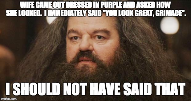 Hagrid | WIFE CAME OUT DRESSED IN PURPLE AND ASKED HOW SHE LOOKED.  I IMMEDIATELY SAID "YOU LOOK GREAT, GRIMACE". I SHOULD NOT HAVE SAID THAT | image tagged in hagrid,AdviceAnimals | made w/ Imgflip meme maker