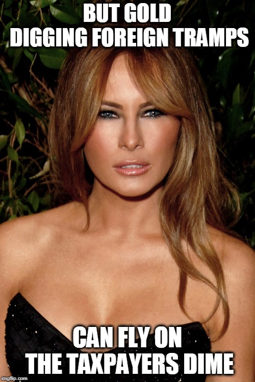melania trump | BUT GOLD DIGGING FOREIGN TRAMPS CAN FLY ON THE TAXPAYERS DIME | image tagged in melania trump | made w/ Imgflip meme maker