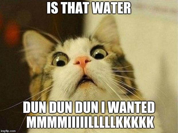 Scared Cat | IS THAT WATER; DUN DUN DUN I WANTED MMMMIIIIILLLLLKKKKK | image tagged in memes,scared cat | made w/ Imgflip meme maker