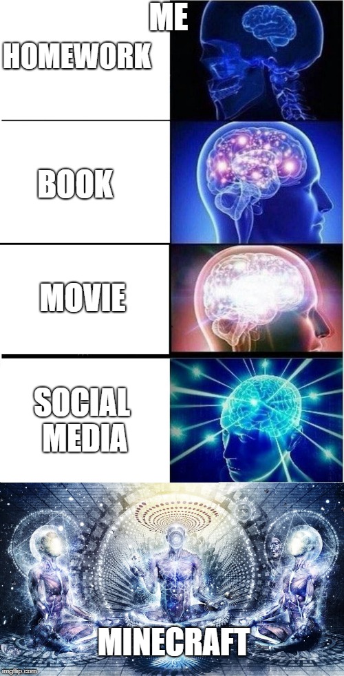 ME; HOMEWORK; BOOK; MOVIE; SOCIAL MEDIA; MINECRAFT | image tagged in memes,expanding brain | made w/ Imgflip meme maker