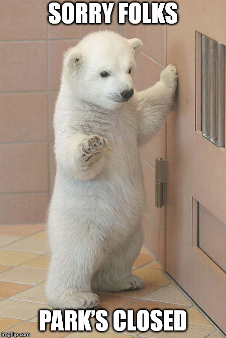 Come back tomorrow | SORRY FOLKS; PARK’S CLOSED | image tagged in polar bear,sorry folks | made w/ Imgflip meme maker