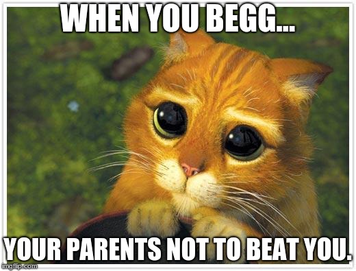 Shrek Cat | WHEN YOU BEGG... YOUR PARENTS NOT TO BEAT YOU. | image tagged in memes,shrek cat | made w/ Imgflip meme maker