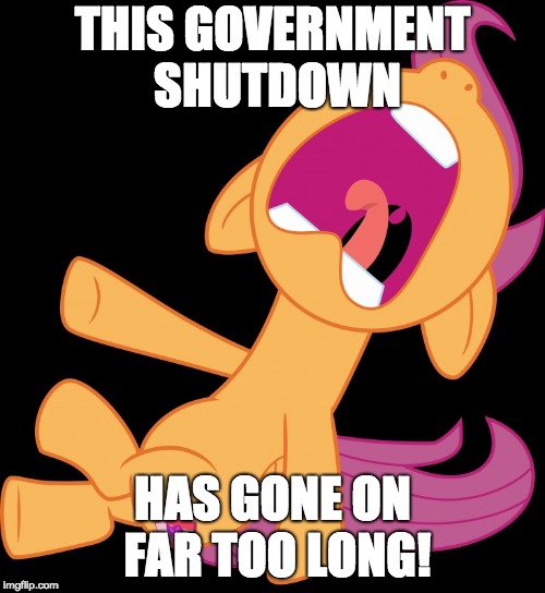 I'm sure I'm not the only one saying it! | THIS GOVERNMENT SHUTDOWN; HAS GONE ON FAR TOO LONG! | image tagged in frightened scootaloo,memes,politics,government shutdown | made w/ Imgflip meme maker