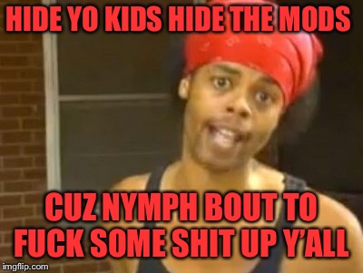 Hide Yo Kids Hide Yo Wife Meme | HIDE YO KIDS HIDE THE MODS CUZ NYMPH BOUT TO F**K SOME SHIT UP Y’ALL | image tagged in memes,hide yo kids hide yo wife | made w/ Imgflip meme maker